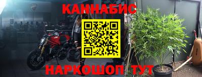ALPHA PVP Донской